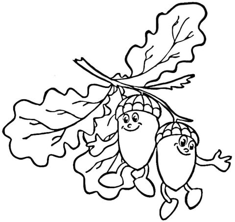 Online coloring book: Two smiling acorns coloring page